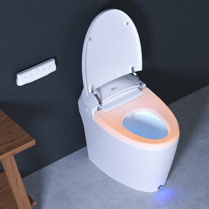 Discovery DLX Bidet Toilet