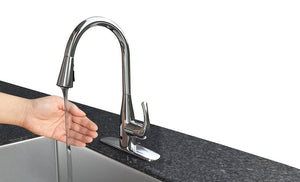 Flow Motion Activated Kitchen Faucet